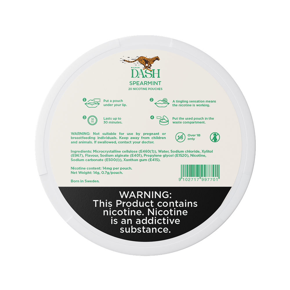 Dash Spearmint - 14mg