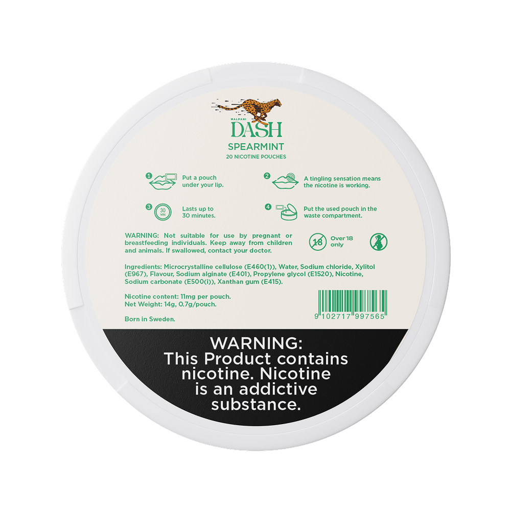 Dash Spearmint - 11mg