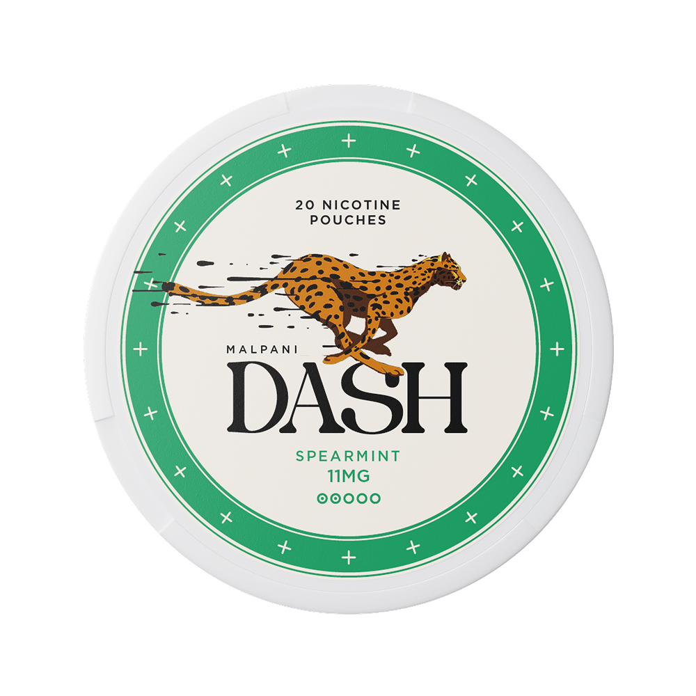 Dash Spearmint - 11mg