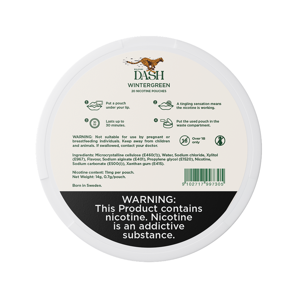 Dash Wintergreen - 11mg