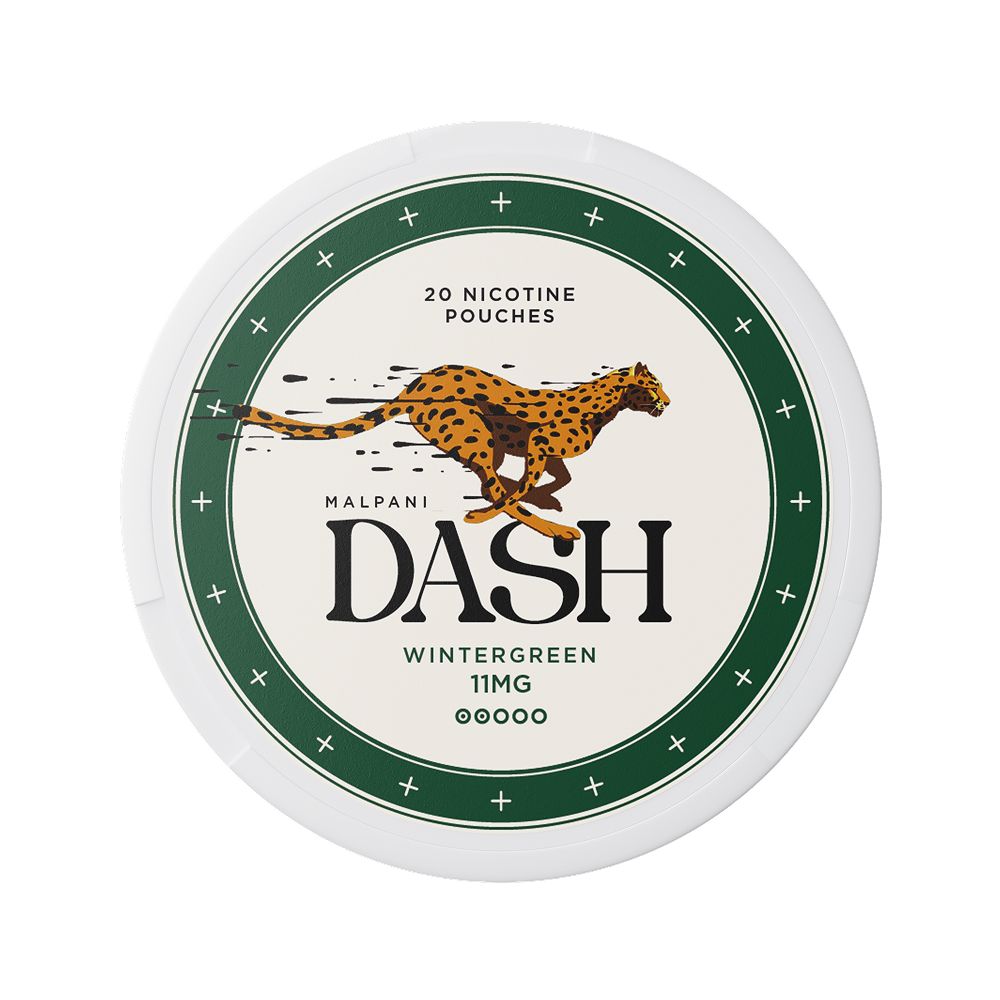 Dash Wintergreen - 11mg